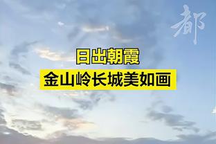 本赛季20+篮板三双榜：小萨3次第一 约基奇2次第二 詹姆斯1次第三